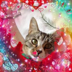 Meet your Posher, Cynthia